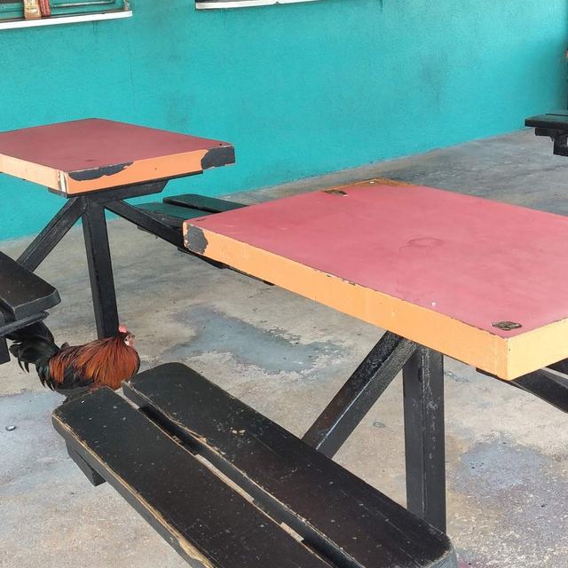 Outdoor picnic tables